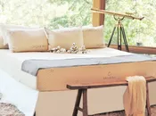 Ergovea: Cavallo Organic Mattress