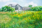 Colburn Farm
