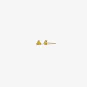 PROUNIS 22K HEXA STUDS