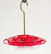 Aspects HummZinger Little Fancy (Rose)