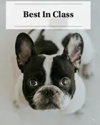 Best In Class Sponsorship — Therapy Partners