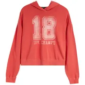 18 Div Champs Hooded Sweatshirt