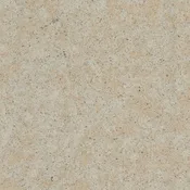 Caraway