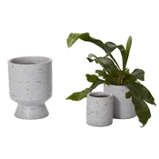 Adelhart Pot