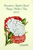Carnation Church Seed Packet Favor