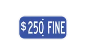 $250 Fine – Small