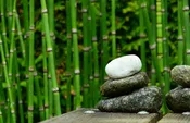 Bamboo Soy Candle