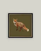 Fox Closeup Framed Antique Art