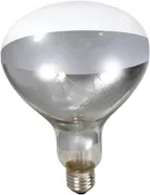 250 Watt Heat Lamp Bulb – Poultry Brooder & Livestock Heat Light (120V)
