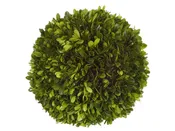 10" Boxwood Ball #1PG3128GR00