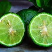 Bergamot