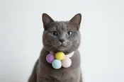 Cat Collar-Adjustable Pink with Pastel PomPoms and Bell