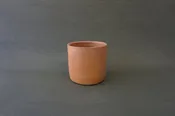 Valeria Cup