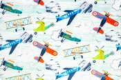 Airplanes Digital Minky, Fly With Me Digital Cuddle Minky