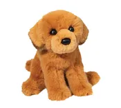 August the Golden Retriever