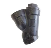 1 1/2 Inch NPT Y Strainer