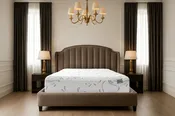 Aries Plush 2.0 Mattress