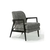 Alexa Lounge Chair