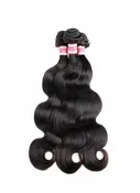 Unprocessed Brazilian Virgin Hair