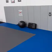 Zebra 6' Wall Pads