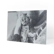 10.5 x 16.5 Brushed Metal Print