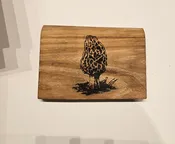 Morel Mushroom Cheese Board