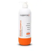 H2PRO BLACK DIAMOND CLARIFYING SHAMPOO (25.4 fl oz / 750 ml) - CS25OZ - PROFESSIONAL HAIR HEALING THERAPY