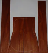 Honduran Mahogany 1010_001