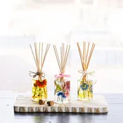 Diffuser Workshop - Saturday, February 6, 2027 at 11:00 AM