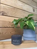 EUFORA For Him Texture Putty — Aspen Salon