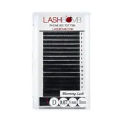 AUTO FAN BLOOMING LASH TRAY - D CURL