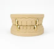 2 Set Fang Grillz - DQ1009