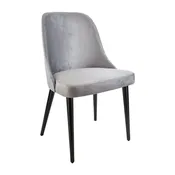 18'' H Velvet Upholstered Beech Side Chair — Beechwood Mountain