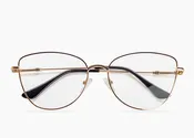 Aviator Paris