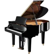 DC1X ENST Yamaha Disklavier