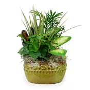Ceramic Dish Garden 10"