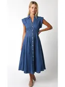 <p>Blair Denim Dress</p>