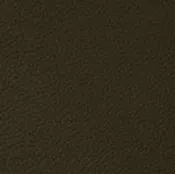 22 Longlife Soft Basalt Leather Swatch