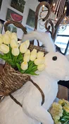 13" Light Mini Tulip Bundle