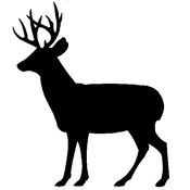 Just Cat Venison