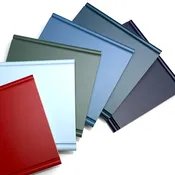 Paint Sample Chip