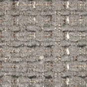 Aster Grey