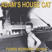 Adam's House Cat - Town Burned Down [Yellow LP]