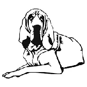 Bloodhound Decal