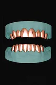 16 Teeth Grillz