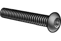 M2.5 x 4 BHCS - 6 pcs.