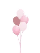 Bundle of 5