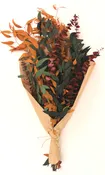 Autumn Eucalyptus Bundle
