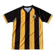 Adult AEK Soccer Jersey
