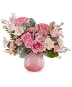 AMOUR ROSE'